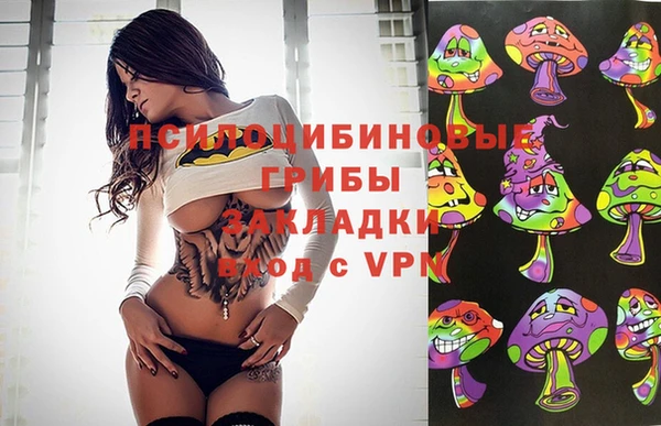 прущие грибы Армянск
