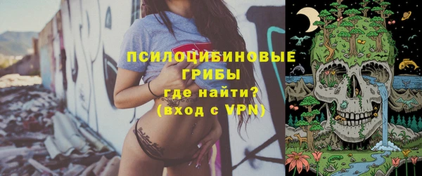 PSILOCYBIN Алзамай