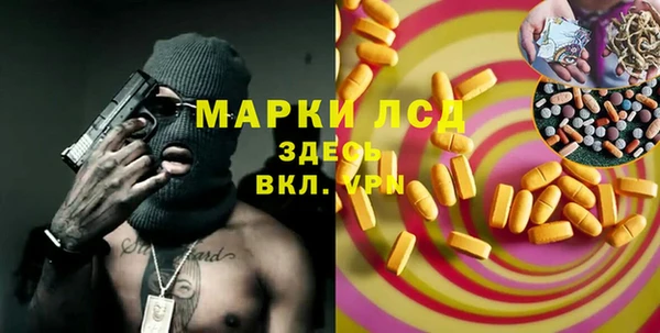 PSILOCYBIN Алзамай