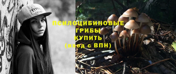 PSILOCYBIN Алзамай