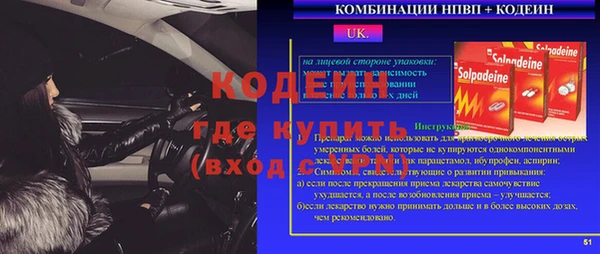 прущие грибы Армянск