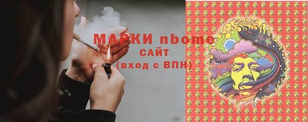 PSILOCYBIN Алзамай